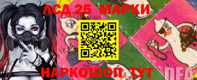 apvp Аша