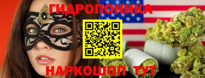 крисы Белореченск