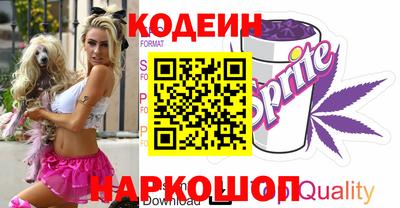 apvp Аша